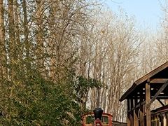 -合肥滨湖国家森林公园