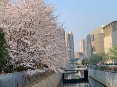 -蠡湖大桥公园