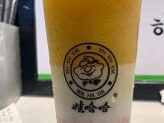 -娃哈哈·奶茶(武林店)
