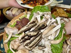 -阿山卓·野生菌火锅·纳西火塘烤肉