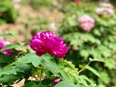 -江南大学(蠡湖校区)