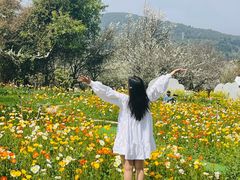 -名花谷生态庄园
