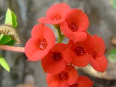 -蓬莱欧乐堡梦幻世界