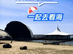 -碧海金沙