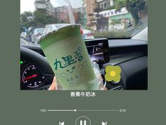 -九里香奶茶果汁(碧湖店)