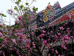 -陈家祠堂-游客中心