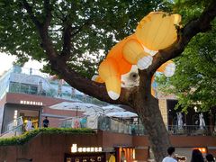 -西安电影制片厂