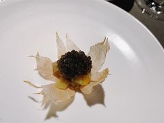 鱼子酱-曲廊院(东四十一条店)