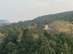-千佛山风景名胜区