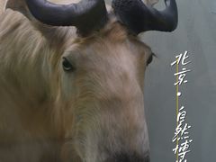 -国家自然博物馆