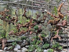 -北京植物园-展览温室