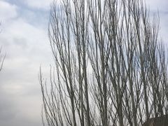 -天梯山石窟