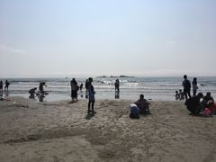 -台山黑沙湾海浴场
