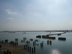 -深圳湾公园(南山区)