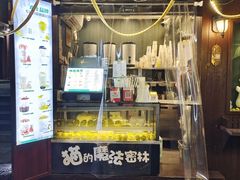 -猫的魔法密林(衣裳街店)