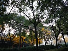 -上海不夜城广场(上海不夜城金融大厦店)