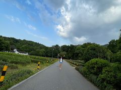 -北高峰