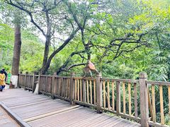 -黔灵山公园
