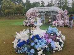 -春花秋色城市公园