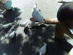 -青城公园