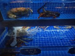 -鼎泰亨·海鲜牛肉餐厅(滨江店)
