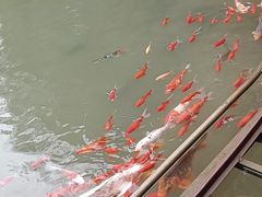 -陶祖圣境风景区