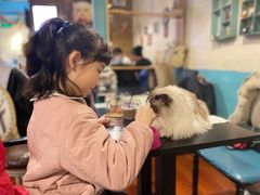 -猫小院猫主题咖啡厅(北锣店)