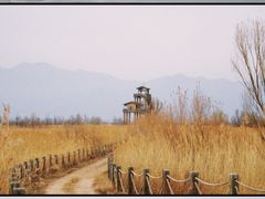 -野鸭湖国家湿地公园