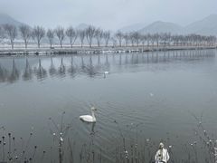 -大九湖