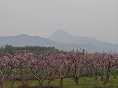 -九寨沟石锅鱼(沣峪口二十年店)