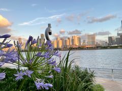 -北外滩滨江绿地