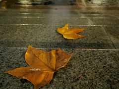 -江苏省美术馆(长江路新馆)