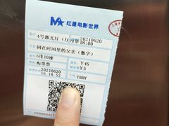 -红星电影世界上海张江绿地店