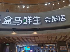 -盒马鲜生(解百新元华店)