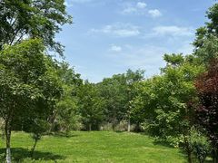 -白鹭湾湿地公园