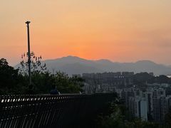 -福道
