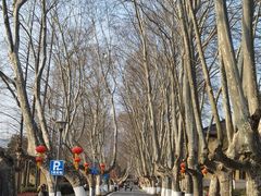 -T80科技文化国际社区-停车场