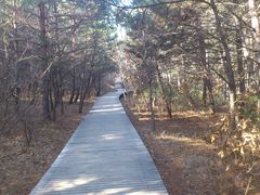 -帽儿山国家森林公园