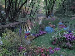 -上海共青森林公园