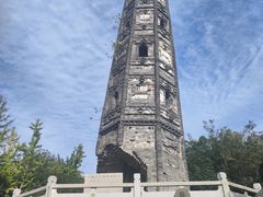 -上海佘山国家森林公园天马山园