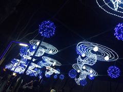 -金城公园