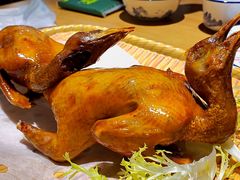 -五谷芳乳鸽王（大梅沙总店C区）(网红打卡店)