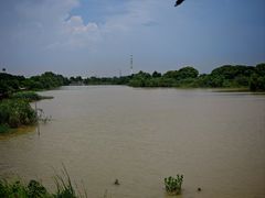-海鸥岛河景湖大排档