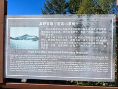 -白草畔自然风景区