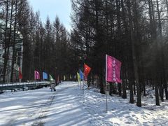-香炉山国家森林公园