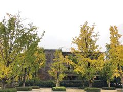 -百林公园-两江幸福广场