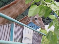 -秦皇岛野生动物园
