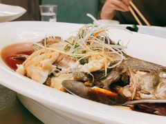 清蒸狮麟鳐鱼-金狮麟·新豫菜(金码大厦店)