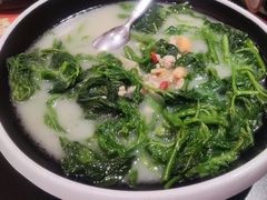 -羽鸽集·乳鸽专门店·地道顺德菜(岭南站店)