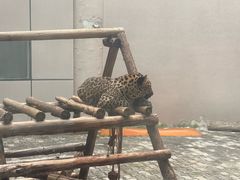 -鄂尔多斯野生动物园